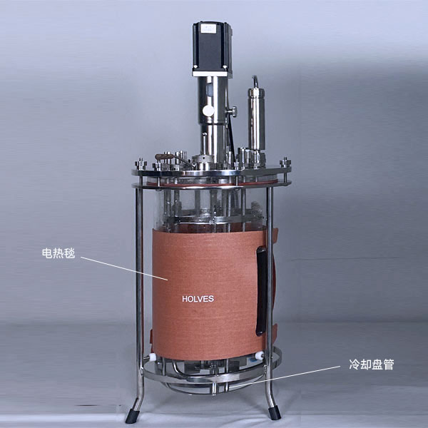 hth.com（HOLVES）实验发酵罐