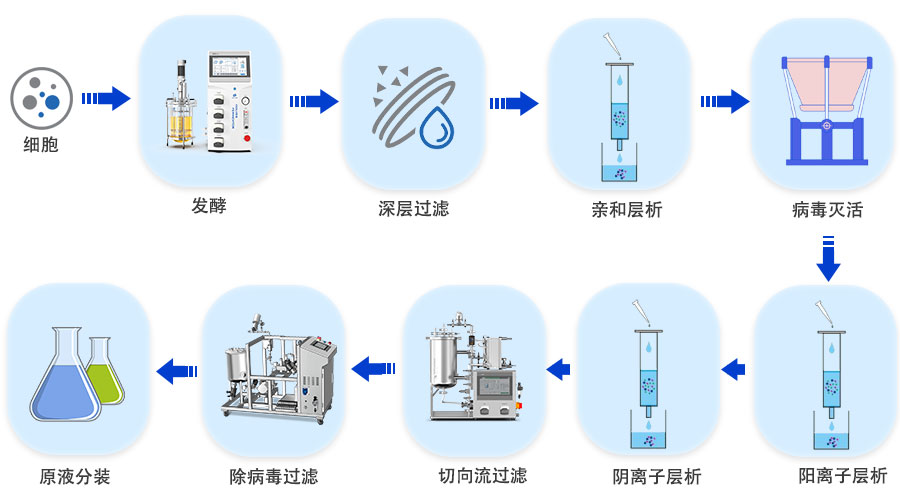 重组蛋白工艺 重组蛋白工艺