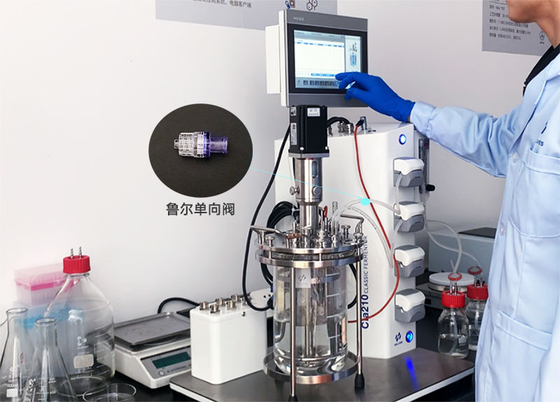 玻璃发酵罐补料鲁尔单向阀 玻璃发酵罐补料鲁尔单向阀