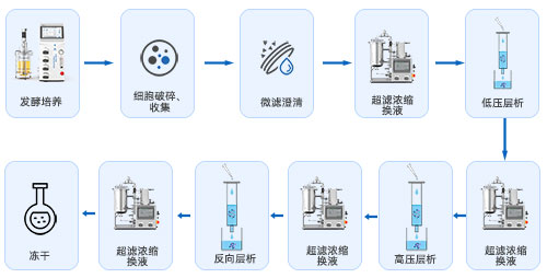 生物发酵下游工艺 生物发酵下游工艺