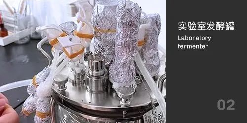 实验室发酵罐灭菌